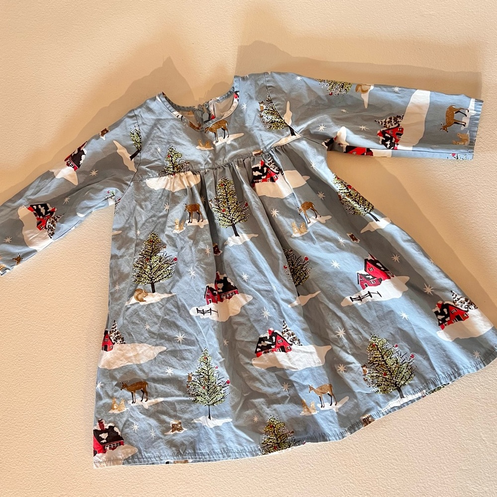 Pink Chicken holiday dress